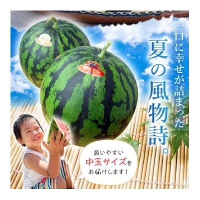 スイカ <愛媛県西予市産 中玉西瓜 2玉> 果物 えひめ えひめ 愛媛