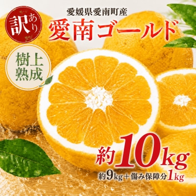 木成り追熟 訳あり 愛南ゴールド約10kg (箱込み)河内晩柑 みかん エニシトラス 愛媛県 愛南町