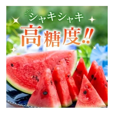 スイカ <愛媛県西予市産 中玉西瓜 1玉> 果物 えひめ 愛媛 すいか