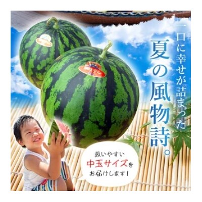 スイカ <愛媛県西予市産 中玉西瓜 1玉> 果物 えひめ 愛媛 すいか