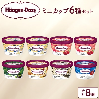 ハーゲンダッツ『定番ミニカップ8個セット』アイスクリーム_H0016-104