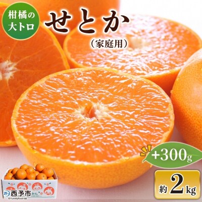 先行受付<せとか(家庭用)2kg+300g>愛媛 えひめ 高評価 わけあり 訳あり