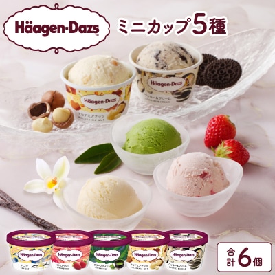 【着日指定できます!!】ハーゲンダッツ『定番ミニカップ5種セット(合計6個)』_H0016-102