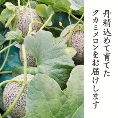 【先行受付2027年6月上旬以降発送】八千代町産 タカミメロン 2玉 約3.5kg[AX039ya]