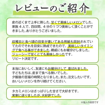 【先行受付2027年6月上旬以降発送】八千代町産 タカミメロン 3玉 約5kg [AX040ya]