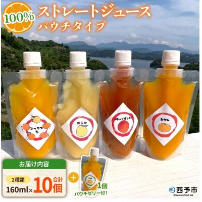 <100%ストレートジュース パウチタイプ160ml×10個+パウチゼリー165g1個