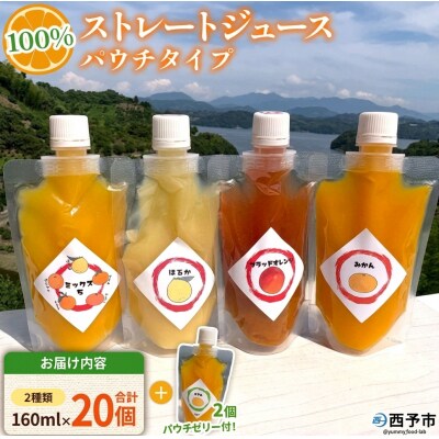 <100%ストレートジュース パウチタイプ160ml×20個+パウチゼリー165g2個