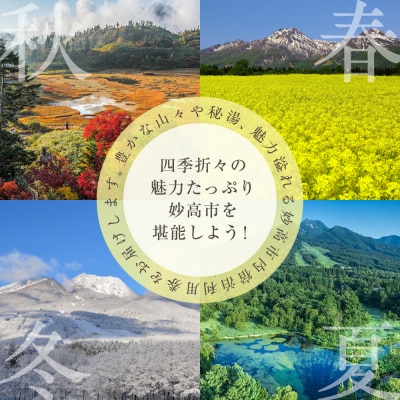 妙高市内宿泊利用券10,000円分2枚 