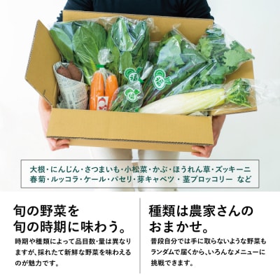 【鹿児島県南さつま市産】福元農園 旬のお野菜 おまかせセット 1箱(5～8品目)野菜 詰め合わせ