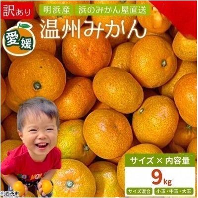 浜のみかん屋直送 温州みかん　訳あり　9キロ　(2S～2L)　愛媛　えひめ