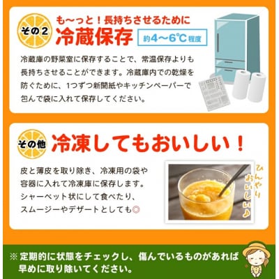 浜のみかん屋直送 温州みかん　訳あり　9キロ　(2S～2L)　愛媛　えひめ