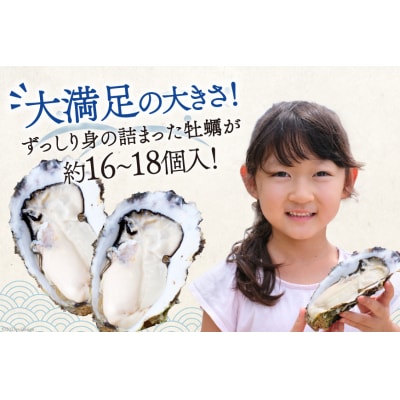 【期間限定発送】  牡蠣 3～4年モノ 殻付き 約3kg(約16-18個入) [20564186]