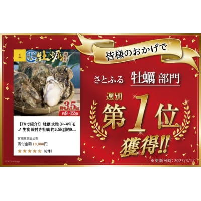 【期間限定発送】牡蠣 大粒 3～4年モノ 殻付き 約3kg(約9-12個入) [20564160]