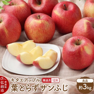 【26年12月発送】りんご 葉取らず サンふじ【良品】約3kg|24_kta-020301j