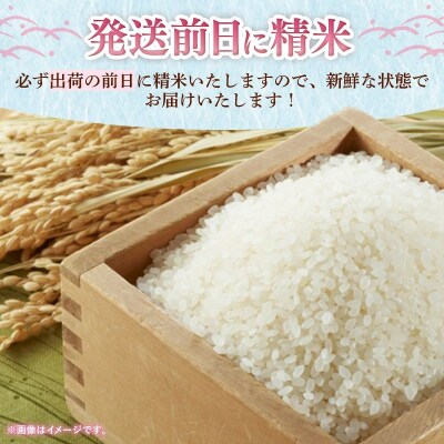 【令和7年産】 福岡県産 米 夢つくし 10kg ( 5kg×2袋 )