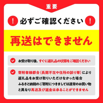 ハーゲンダッツ『ミニカップ12個セット(バニラ味)』アイスクリーム_H0016-116
