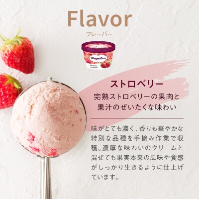 ハーゲンダッツ『ミニカップ12個セット(ストロベリー味)』アイスクリーム_H0016-117