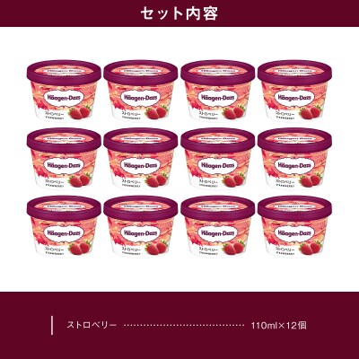 ハーゲンダッツ『ミニカップ12個セット(ストロベリー味)』アイスクリーム_H0016-117
