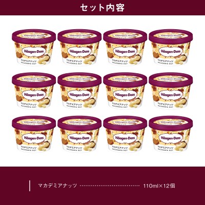 ハーゲンダッツ『ミニカップ12個セット(マカデミアナッツ味)』アイスクリーム_H0016-118