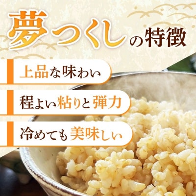 夢つくし 玄米 パックご飯 24個