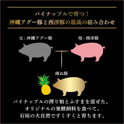 石垣島産 やえやまファームのアグ―豚(南ぬ豚)焼肉セット1kg