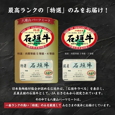 ≪特選≫石垣牛100%ハンバーグ (100g×3個)&石垣牛元卸のお任せ焼肉 (180g) セット