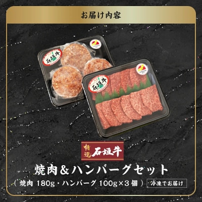 ≪特選≫石垣牛100%ハンバーグ (100g×3個)&石垣牛元卸のお任せ焼肉 (180g) セット