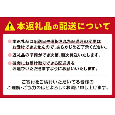【2026年9月発送】千秋庵・生ノースマン 4個入り 4箱(合計16個)_hs178-002-09