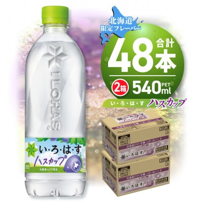 い・ろ・は・す ハスカップ　540mlPET×48本_hs137-031