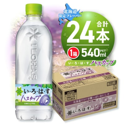 い・ろ・は・す ハスカップ　540mlPET×24本_hs137-040