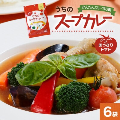 スープカレーの素 うちのスープカレー トマト味 2人前×6袋_hs299-036