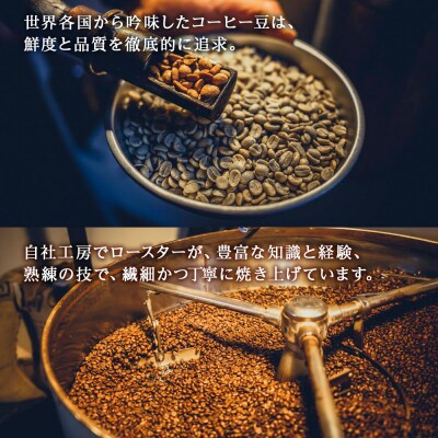 コーヒー豆セット　No.3 浅モカと森の雫セット　各3袋　合計360g_hs017-423