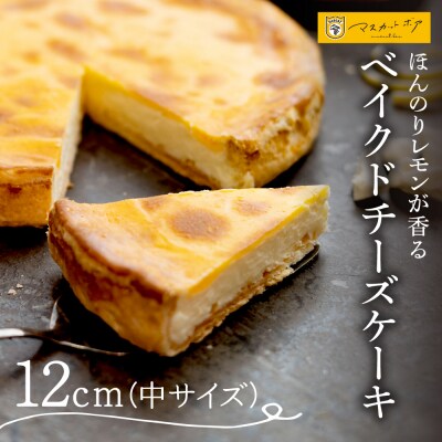 ベイクドチーズケーキ(中)_hs126-002