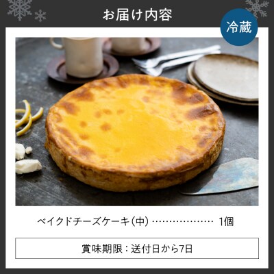 ベイクドチーズケーキ(中)_hs126-002