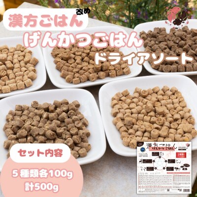 漢方ごはん改めげんかつごはんドライアソート(100g×5種類)_hs348-011