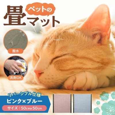 ペットの畳マット　50　ピンク×ブルー_hs347-008