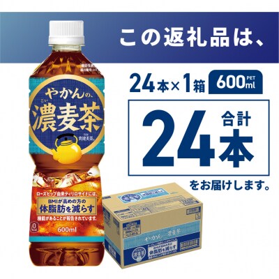 【機能性】やかんの濃麦茶 from爽健美茶 600mlPET×24本_hs137-075