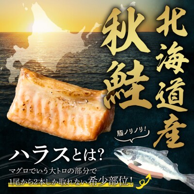 秋鮭ハラス西京漬 約500g_hs027-042