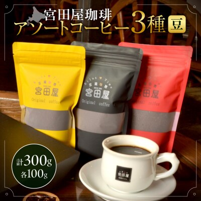 宮田屋珈琲　アソートコーヒー3種(豆)_hs433-001