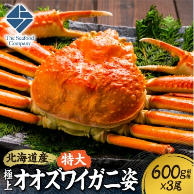 北海道産特大極上オオズワイガニ姿　600g前後×3尾_hs408-018