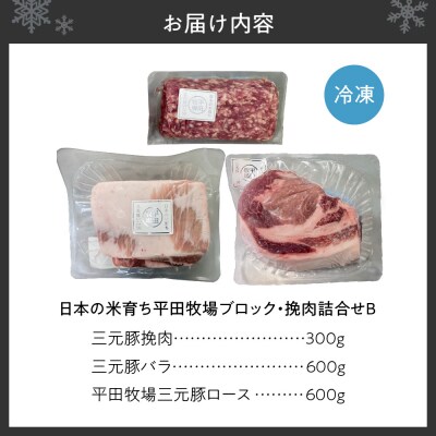 日本の米育ち平田牧場ブロック・挽肉詰合せB_hs394-011
