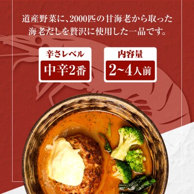 奥芝商店 とろけるチーズとおくしばーぐのスープカレー_hs026-005