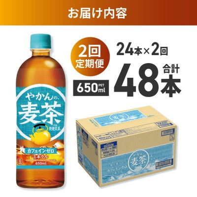 【2ヶ月定期便】やかんの麦茶 from 爽健美茶 650mlPET×24本_hs137-190