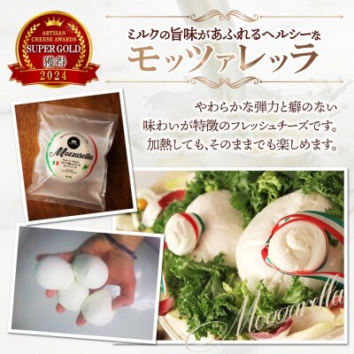 モッツァレラ 100g×5_hs324-003