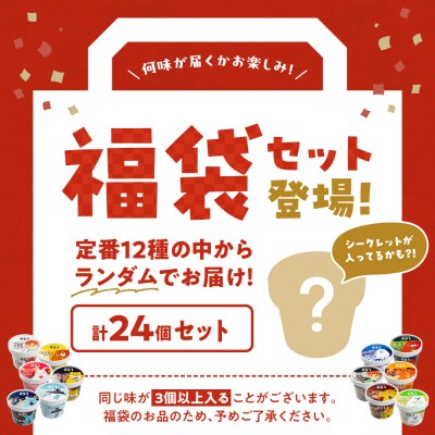 【福袋】951アイスクリーム　24個セット_hs359-032