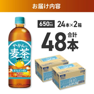 やかんの麦茶 from 爽健美茶 650mlPET×48本_hs137-096