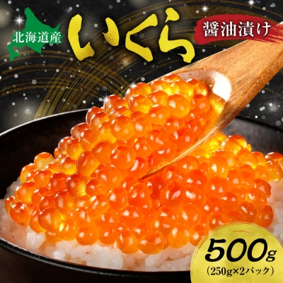 北海道産いくら醤油漬け 500g_hs221-009