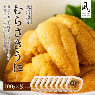 《北海道産》ムラサキウニ 塩水100g×8パック＜札幌カネシン水産＞_hs017-753