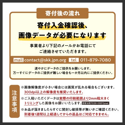 UVアクリルフォトパネルA2額装セット(シャドウギャップシルバー)_hs449-004