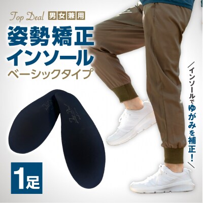TOPDEALインソール・ベーシックロングタイプ_hs536-001